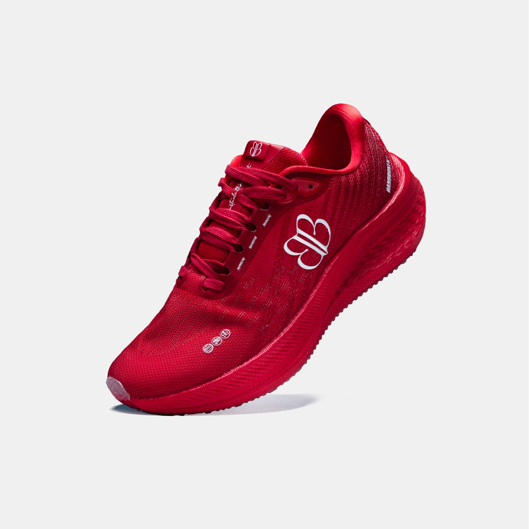 LEVITO ROSSO